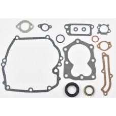Blīvju komplekts BRIGGS&STRATTON QUANTUM (493263;496117;497316)