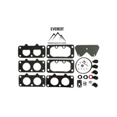 Karburaora remonta komplekts BRIGGS&STRATTON (40H700 446700)