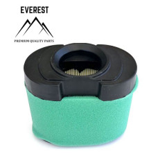 Gaisa filtrs BRIGGS&STRATTON 2 CYL OHV ( 593240 792105 )