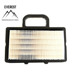 Gaisa filtrs BRIGGS&STRATTON (792101)