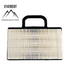 Gaisa filtrs BRIGGS&STRATTON (499486)