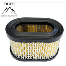 Gaisa filtrs BRIGGS&STRATTON QUANTUM (494586 497725 497725S)