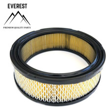 Gaisa filtrs BRIGGS&STRATTON VANGUARD ( 392642 394018S )