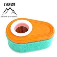 Gaisa filtrs BRIGGS&STRATTON (792038)