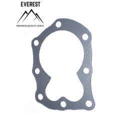 Dzinēja galvas blīve BRIGGS&STRATTON (698717)