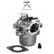 Karburators BRIGGS&STRATTON (495706, 498027, 498231, 499161, 799728)